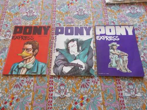 Pony express 2 - pony,