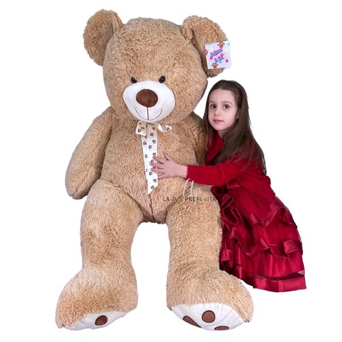 Coccoloso gigante orso - gigante,