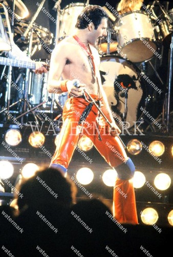 Gd705 foto freddie mercury dei - freddie,