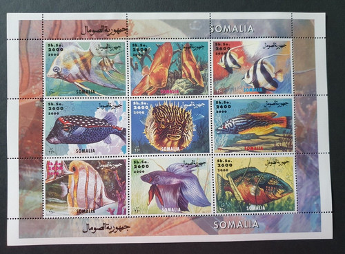 2000 somalia foglio vita - 2000,