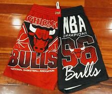 MICHELLE & Ness chicago bulls