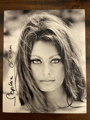 Sophia loren splendida foto - sophia,