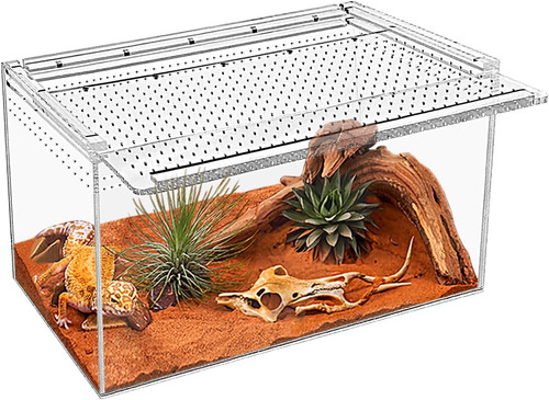 Terrario per rettili x 21x - terrario,