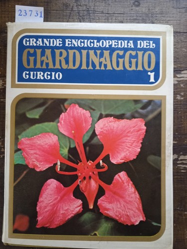 Grande enciclopedia del