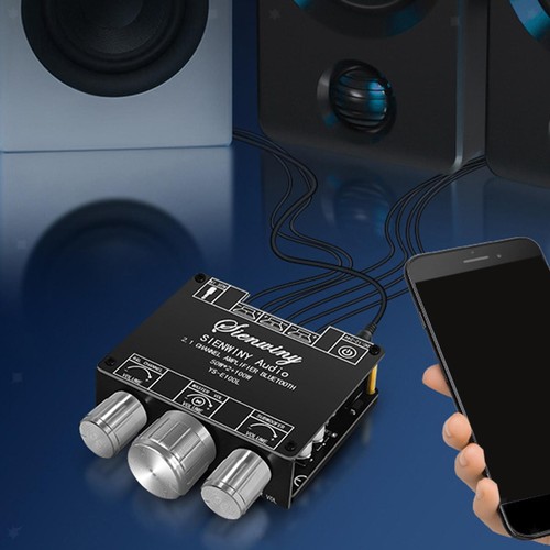 Scheda amplificatore mini