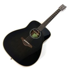 Chitarra elettrica-acustica
