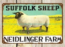 Suffolk Sheep livestock animal
