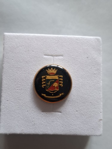Spilla pin stemma araldico - pin,