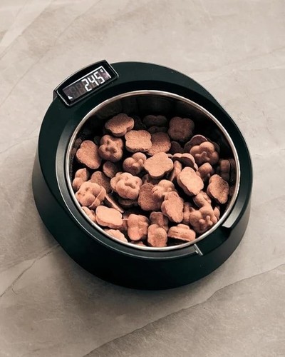 Ciotola elettronica pappa cani - elettronica,