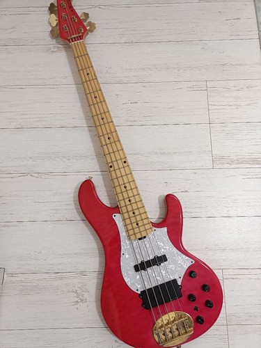 Lakland 569 tetsuya corde - 5,