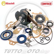 Kit Revisione Albero Motore