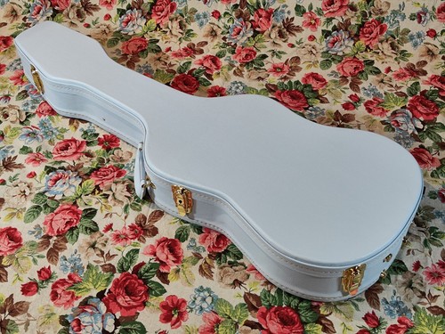 Custodia per chitarra - custodia, st