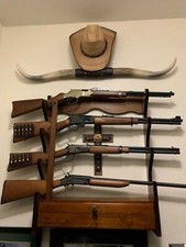 Espositore per pistola