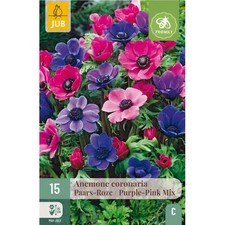 Bulbi di Anemone Coronaria
