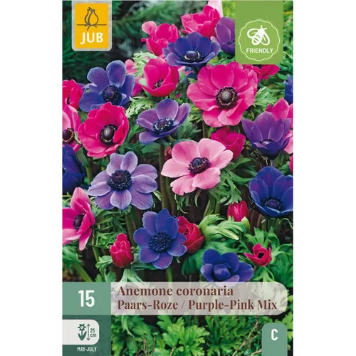 Bulbi anemone coronaria - bulbi,