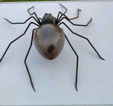 lampada ragno da parete ferro rame battuto vetro anni 50