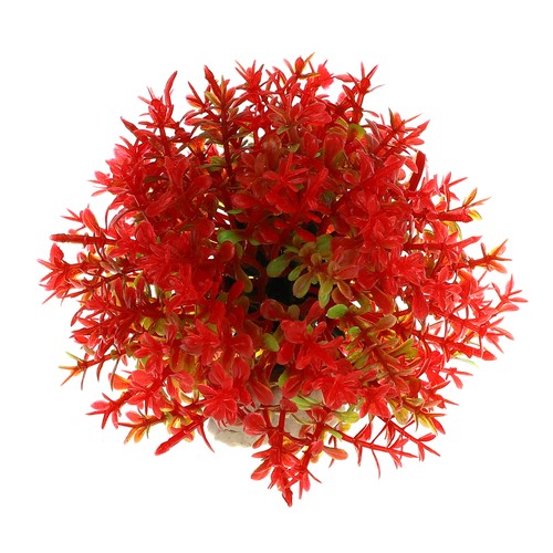 1pz acquario erba sfera - 1pz,