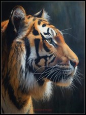 Ritratto di Tigre 5 - Modelli