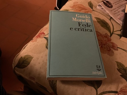 Fede critica guido morselli - e,