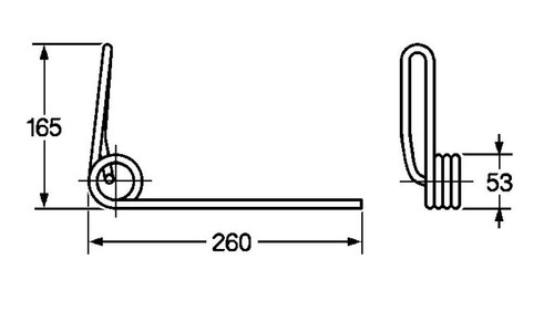 Molla dente anteriore - dente, d.8