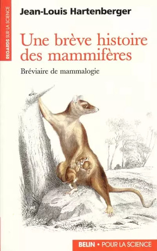Une brève histoire - , des