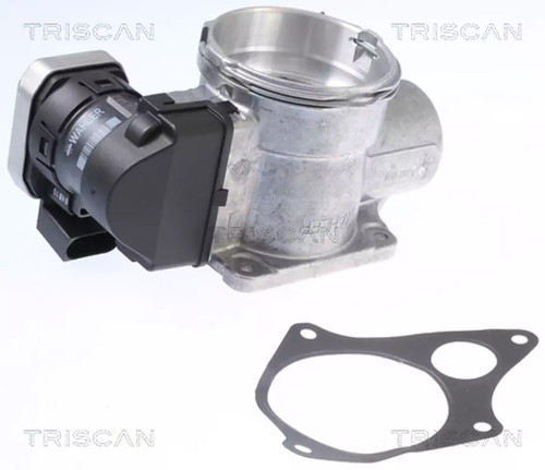 Valvola egr triscan 8813 - egr,