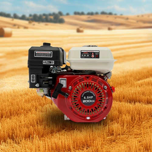 Motore gas 5hp 200cc - a,