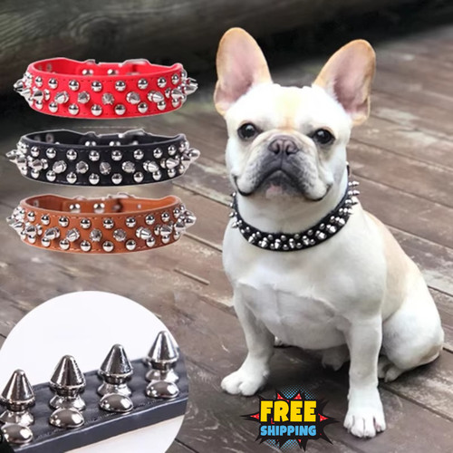 Collare cane pelle borchiata - , a