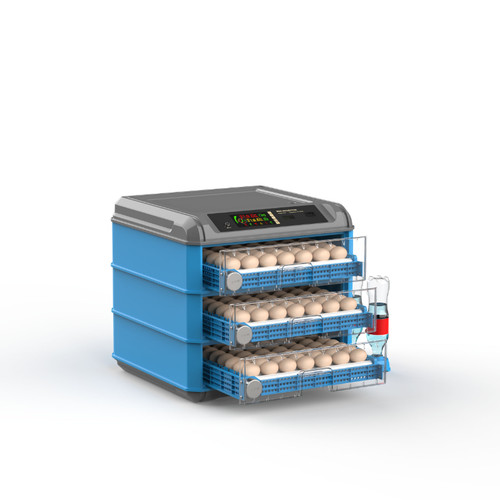 300 uova incubatrice