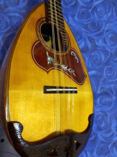Mandolino giapponese del - mandolino,