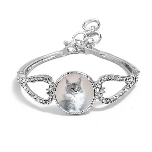 Maine coon cat - cat, silver