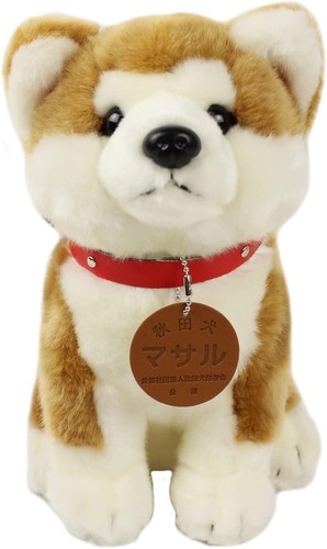 Akita inu japanese dog masaru - japanese,