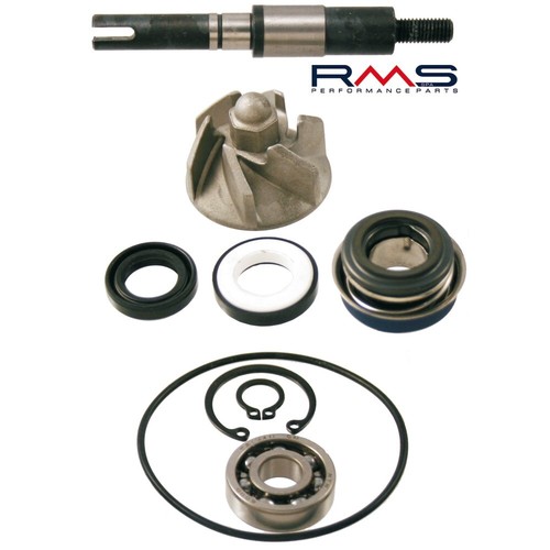 Rms riparazione delle pompe - riparazione,