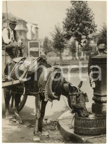 1933 costume milano cavallo - 1933,