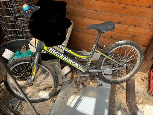 Bicicletta pollici bambino - 20,