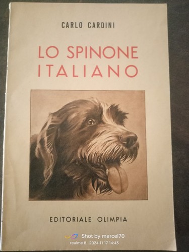 Cinofilia cane caccia - cinofilia,