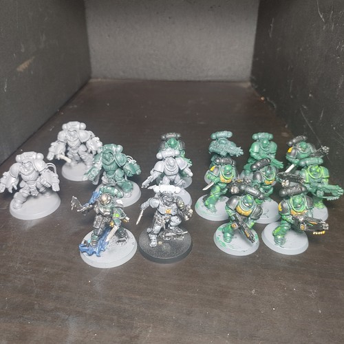 Lotto salamandre primaris - lotto,