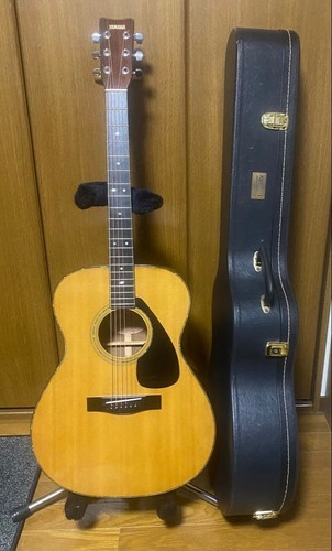 Chitarra elettrica acustica