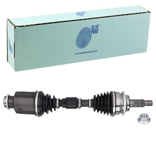 Blue print albero - blue,