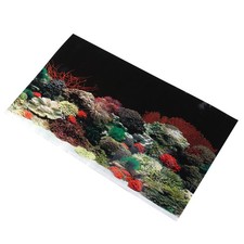  Acquario Serbatoio di pesce