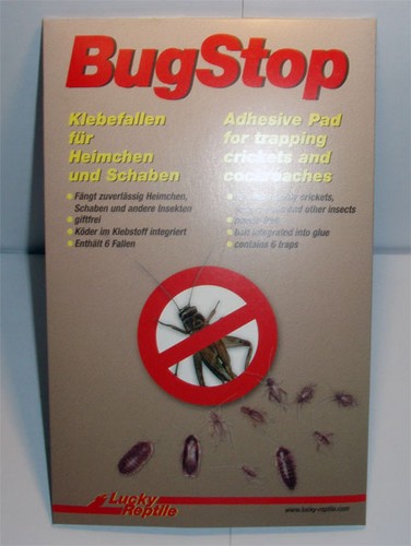 Lucky reptile bug stop - reptile,
