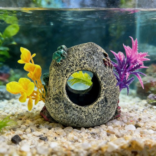 Decorazione per acquario