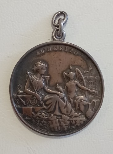 Torino medaglia 1884 - torino,