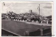 # DELICETO: PANORAMA 1955