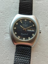 Levrette stellina  inox