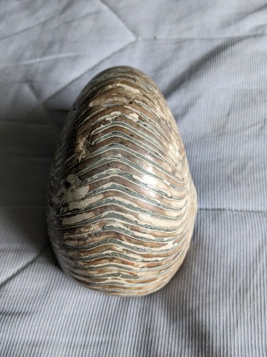 Vintage large fossil - fossil, shell