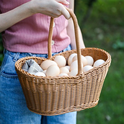 Cesto picnic cesti - picnic,