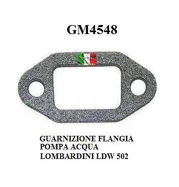 Guarnizione flangia pompa - guarnizione,