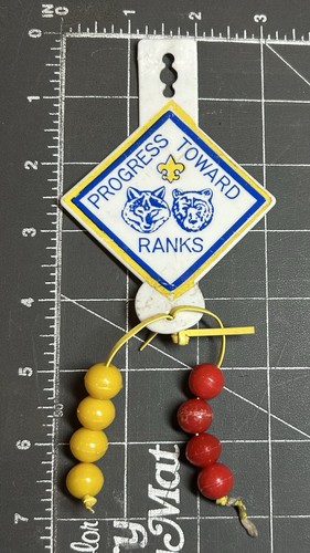 Ragazzo scout america bsa - scout,
