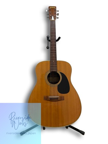 Rara chitarra acustica vintage